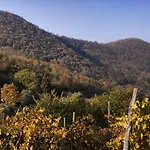 Fattoria Busa Dell'oro Monte Ortone