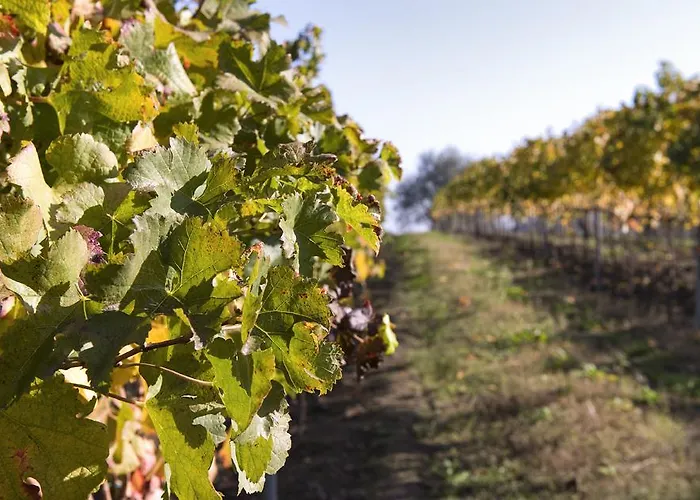 Bed & Breakfast Fattoria Busa Dell'oro 4*