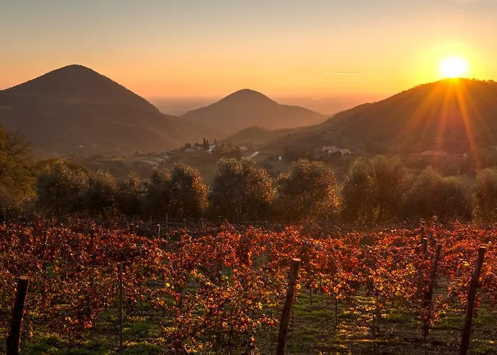 Fattoria Busa Dell'oro Bed & Breakfast