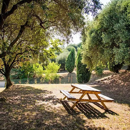 Fattoria Busa Dell'oro