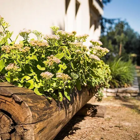 Fattoria Busa Dell'oro Nocleg ze śniadaniem 4*