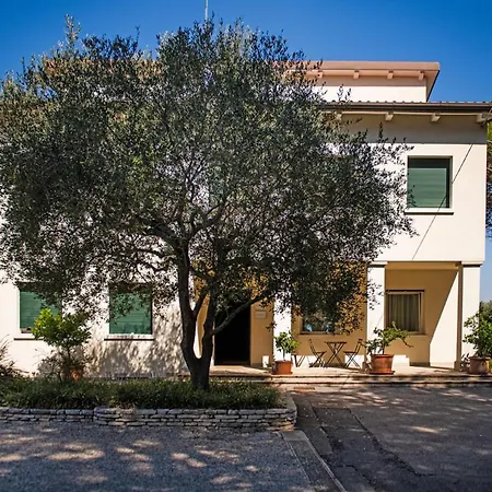 Bed & Breakfast Fattoria Busa Dell'oro