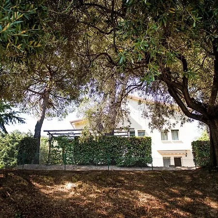 Bed & Breakfast Fattoria Busa Dell'oro Monte Ortone