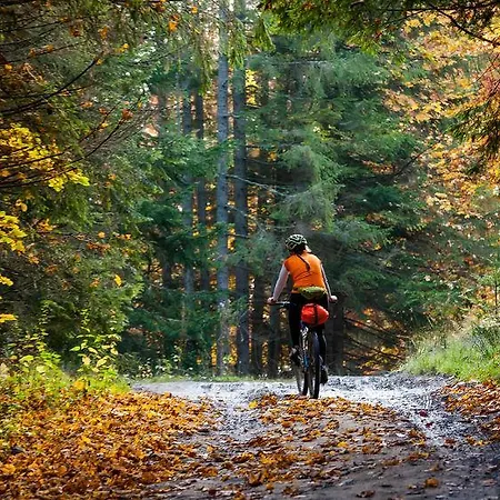 Fattoria Busa Dell'oro Bed & Breakfast Monte Ortone