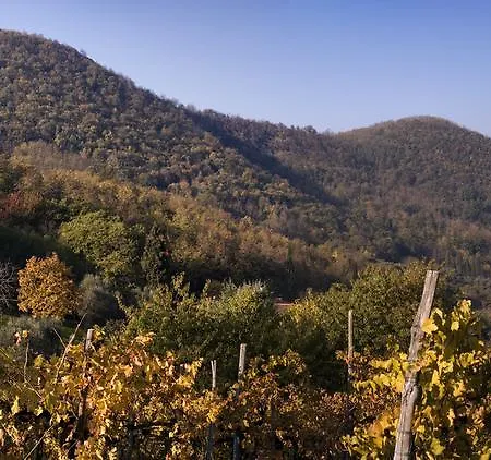 Fattoria Busa Dell'oro Monte Ortone