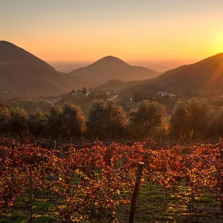 Fattoria Busa Dell'oro Nocleg ze śniadaniem
