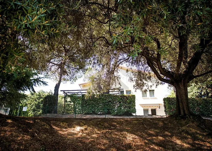 Bed & Breakfast Fattoria Busa Dell'oro Monte Ortone
